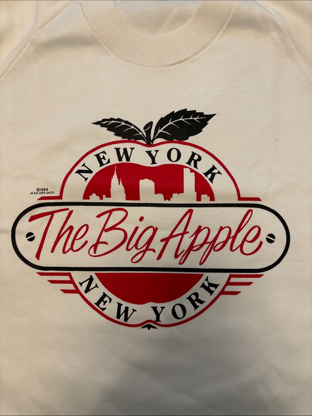 1988 Big Apple New York Cityscape Long Sleeve Shirt